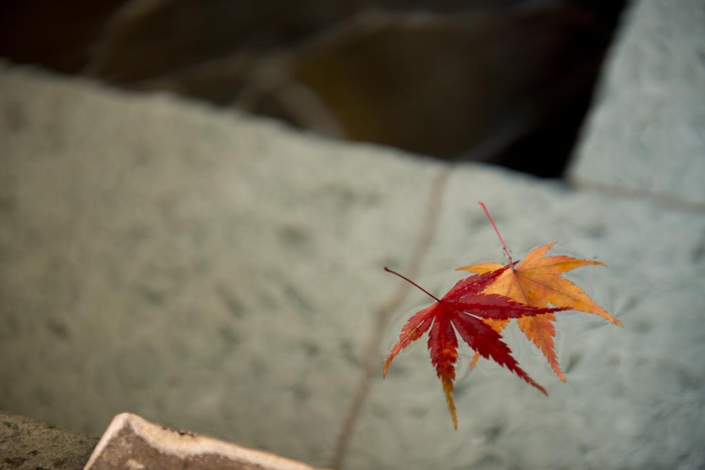 Onsen Ryokan Yamaki Hotell Nasushiobara Exteriör bild